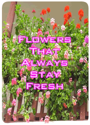 FlowerCard
